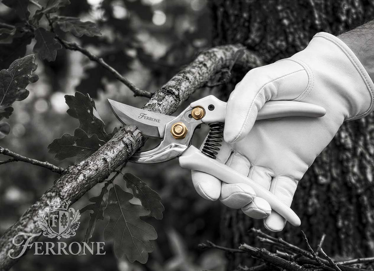 Ferrone I Pruning Shears