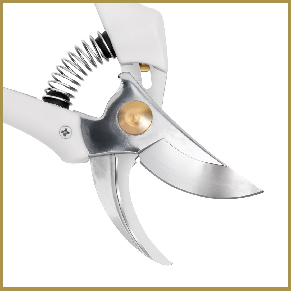 Ferrone VI Pruning Shears